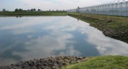 Drijvend zonnepark Lingewaard nog dit jaar gereed