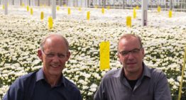 Glastuinders doen proef met flexibel netstroomgebruik