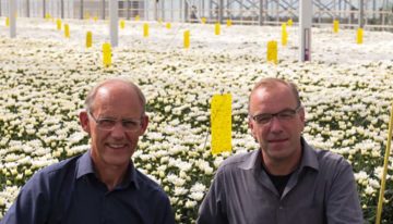 Glastuinders doen proef met flexibel netstroomgebruik