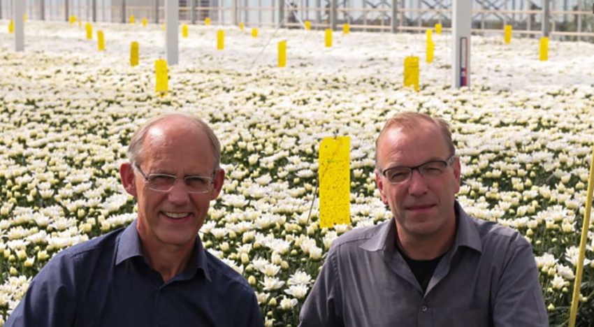 Glastuinders doen proef met flexibel netstroomgebruik