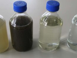Hoogheemraadschap Delfland mag afvalwater glastuinders zuiveren