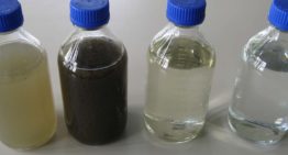 Hoogheemraadschap Delfland mag afvalwater glastuinders zuiveren