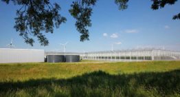 Waterhergebruik en ondergrondse berging voor Nieuw Prinsenland