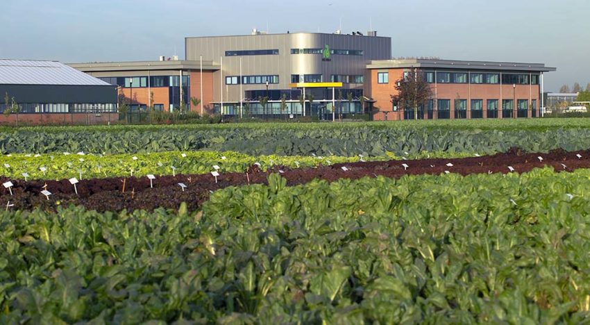 Met bodemenergie verduurzaamt Rijk Zwaan groenteveredeling in Fijnaart