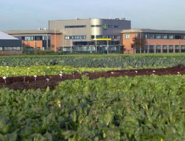 Nieuwe R&D-locatie van Rijk Zwaan in Fijnaart geopend