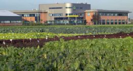 Nieuwe R&D-locatie van Rijk Zwaan in Fijnaart geopend