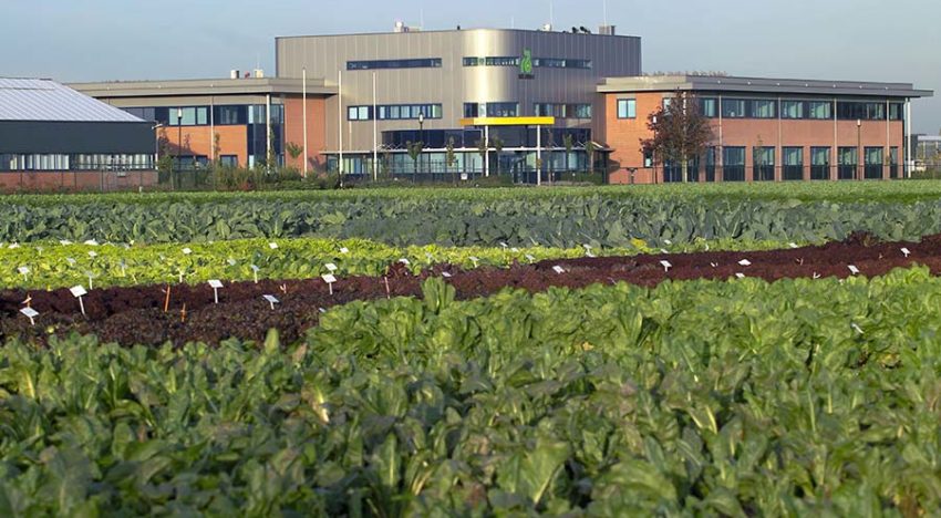 Nieuwe R&D-locatie van Rijk Zwaan in Fijnaart geopend