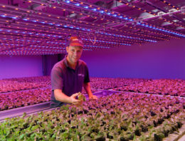 PlantLab en Deliscious schikken slepend dispuut over patent