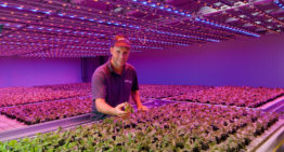PlantLab en Deliscious schikken slepend dispuut over patent