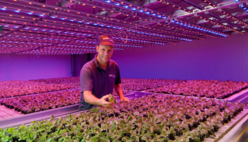 PlantLab en Deliscious schikken slepend dispuut over patent