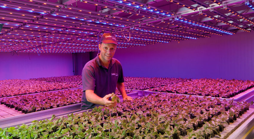 PlantLab en Deliscious schikken slepend dispuut over patent