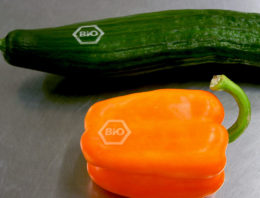 Laserbranding van groenten en fruit in opkomst