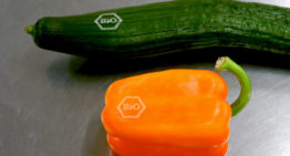 Laserbranding van groenten en fruit in opkomst
