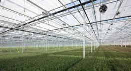 Betrouwbaarheid van CO2-leveringen uit havengebied ter discussie