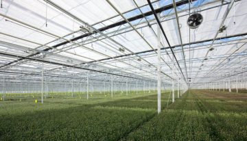 Betrouwbaarheid van CO2-leveringen uit havengebied ter discussie
