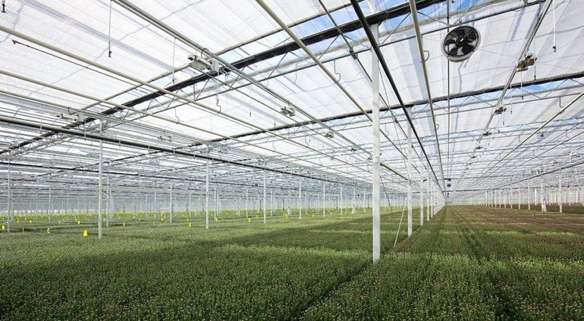 Betrouwbaarheid van CO2-leveringen uit havengebied ter discussie