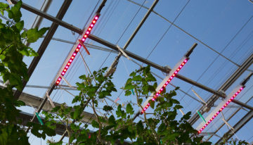 Juanita laat zich van beste kant zien onder 100% LED’s