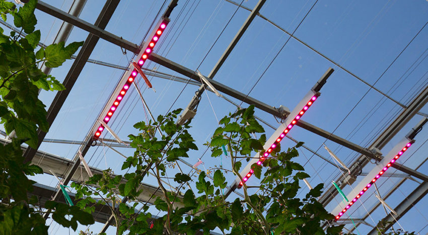 Juanita laat zich van beste kant zien onder 100% LED’s