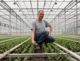‘We keren terug naar de mechanismen die de natuur heeft bedacht’