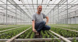 ‘We keren terug naar de mechanismen die de natuur heeft bedacht’