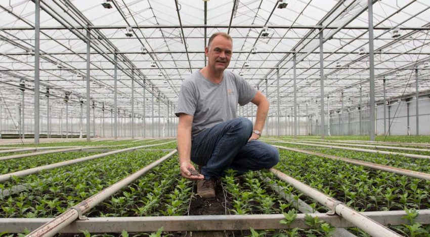 ‘We keren terug naar de mechanismen die de natuur heeft bedacht’