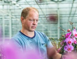 ‘Ideale potgrondsamenstelling vraagt om kennis op microbiologisch niveau’