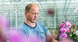 ‘Ideale potgrondsamenstelling vraagt om kennis op microbiologisch niveau’