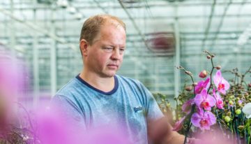‘Ideale potgrondsamenstelling vraagt om kennis op microbiologisch niveau’