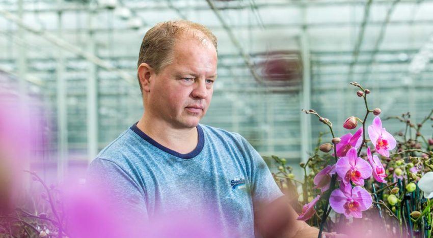 ‘Ideale potgrondsamenstelling vraagt om kennis op microbiologisch niveau’