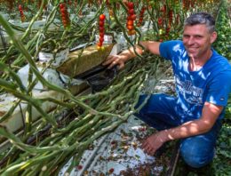‘Preciezer sturen van EC en watergift met nieuwe mat’