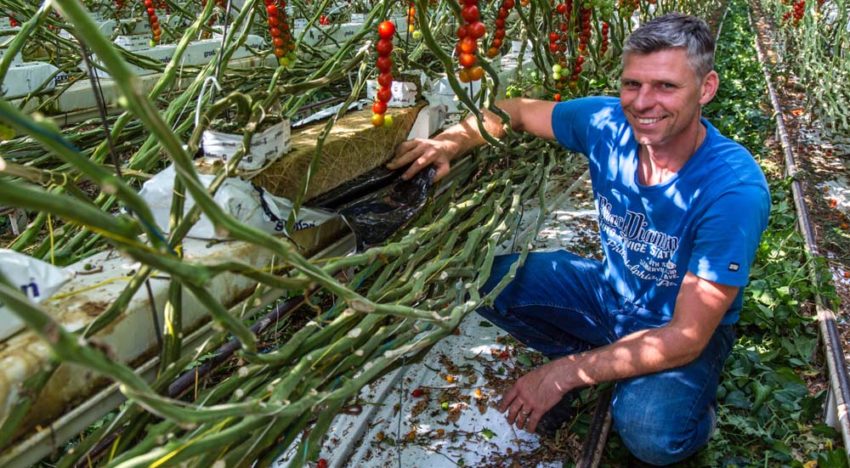 ‘Preciezer sturen van EC en watergift met nieuwe mat’