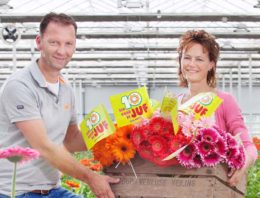 ‘Wat roos is voor Valentijn, kan gerbera zijn voor dag van leerkracht’