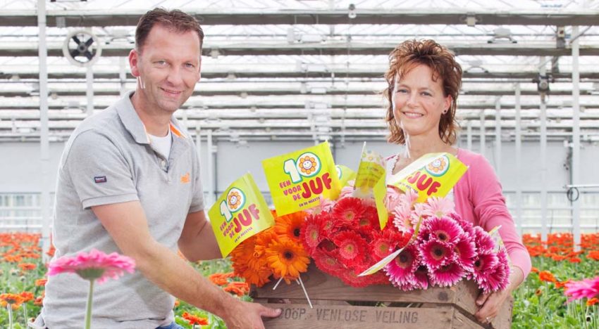 ‘Wat roos is voor Valentijn, kan gerbera zijn voor dag van leerkracht’ ‘Wat roos is voor Valentijn, kan gerbera zijn voor dag van leerkracht’