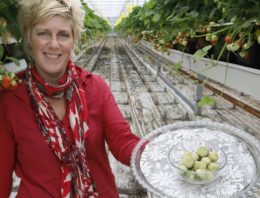 ‘Groene aardbei heeft culinaire mogelijkheden’