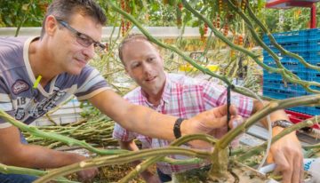 Vaker gieten en kleinere beurten: ‘downscalen’ van water is de trend
