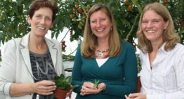 Green Challenge plantweerbaarheid zoekt inzicht in kansen en hiaten