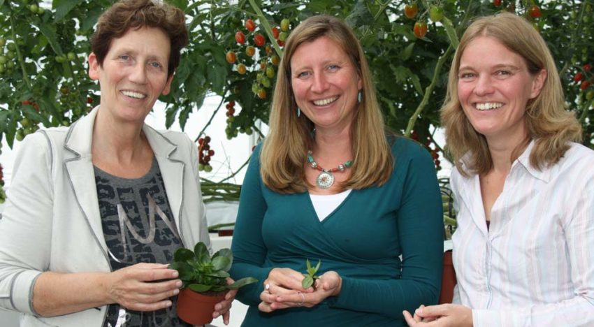 Green Challenge plantweerbaarheid zoekt inzicht in kansen en hiaten