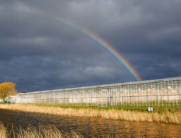 Gebiedsgerichte aanpak en praktische webtools verbeteren waterkwaliteit
