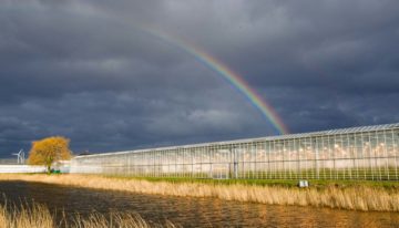 Gebiedsgerichte aanpak en praktische webtools verbeteren waterkwaliteit