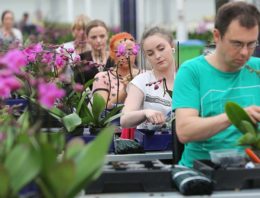 Verzuim in agrarische en groene sector stijgt