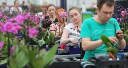 Verzuim in agrarische en groene sector stijgt