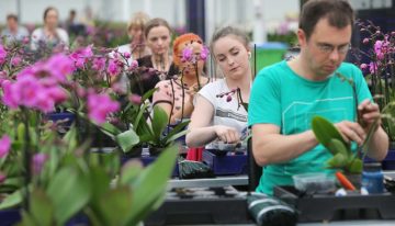 Verzuim in agrarische en groene sector stijgt