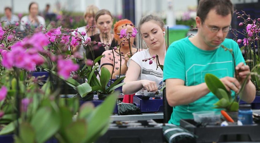 Verzuim in agrarische en groene sector stijgt