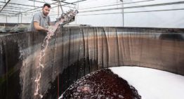 ‘Water heeft geld gekost, dus zonde om het weg te doen’