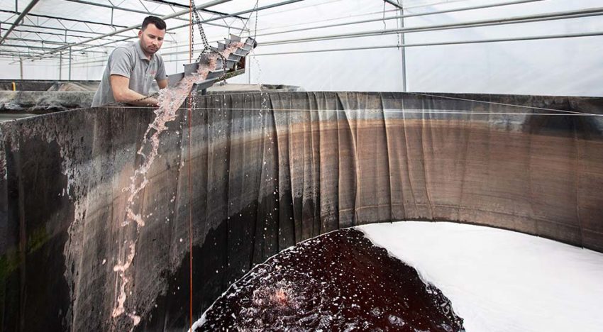 ‘Water heeft geld gekost, dus zonde om het weg te doen’