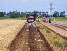 Agrarische sector Nederland heeft kleinste ecologische voetafdruk ter wereld