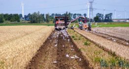 Agrarische sector Nederland heeft kleinste ecologische voetafdruk ter wereld