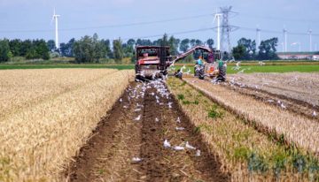 Agrarische sector Nederland heeft kleinste ecologische voetafdruk ter wereld