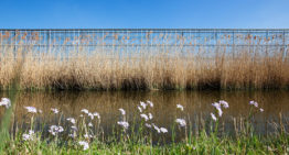 Mobiele waterzuivering vooral interessant bij kleine lozingsvolumes