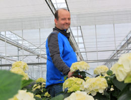 Strakke organisatie en toepassing houden Thrips setosus in toom